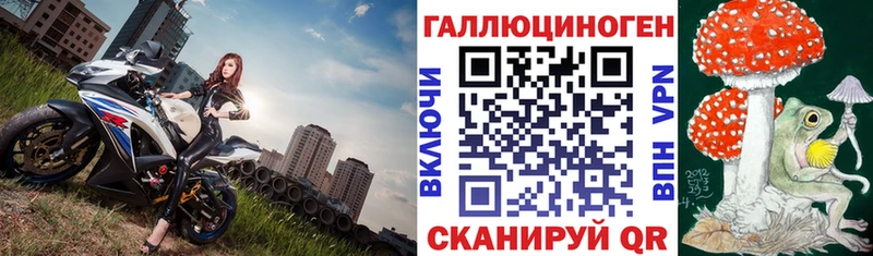 kraken маркетплейс  Зеленокумск  Псилоцибиновые грибы мицелий 